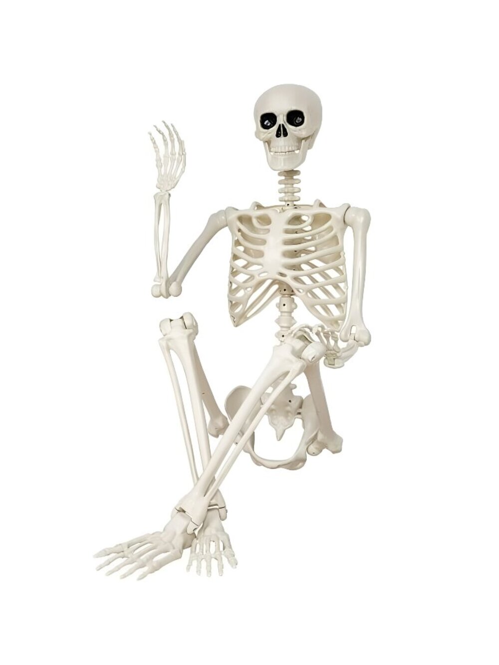 Halloween Skeleton Decorations,36" Posable Human Skeleton Decorations for